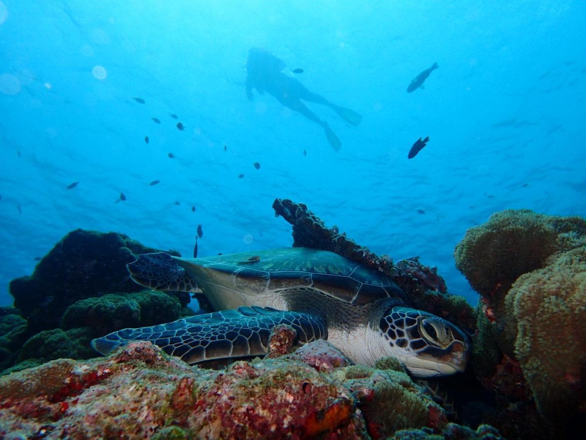 Manta Reserve Maalhos  Bagian luar foto